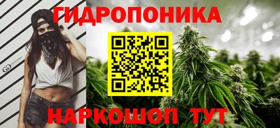 бошки Краснодар