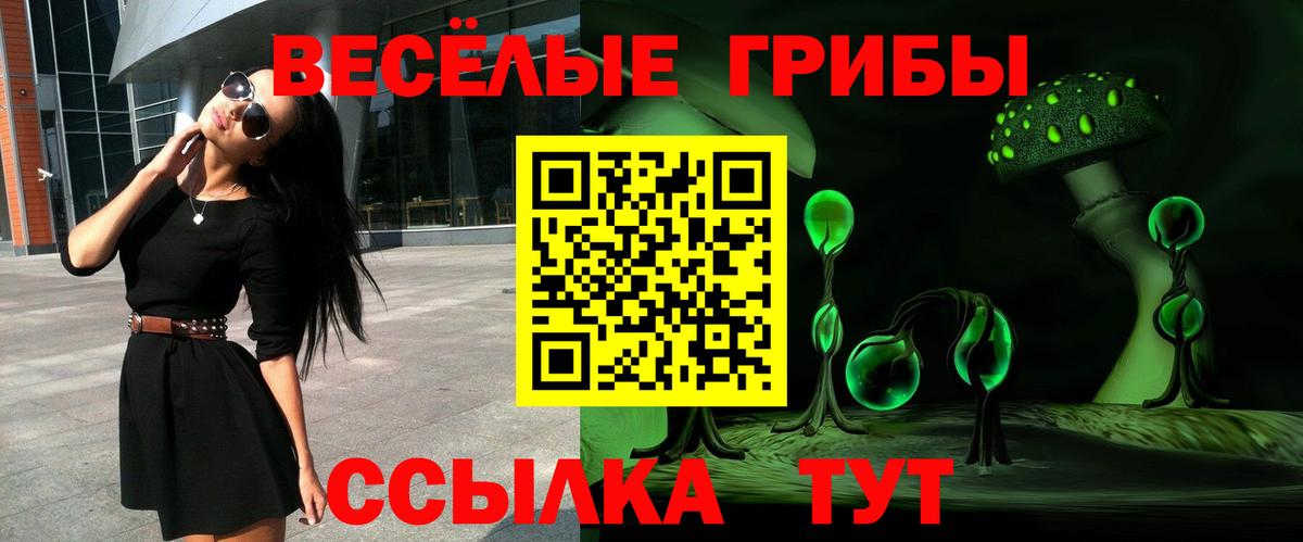 Ишимбай  Псилоцибиновые грибы ЛСД  даркнет сайт  Вход с VPN 