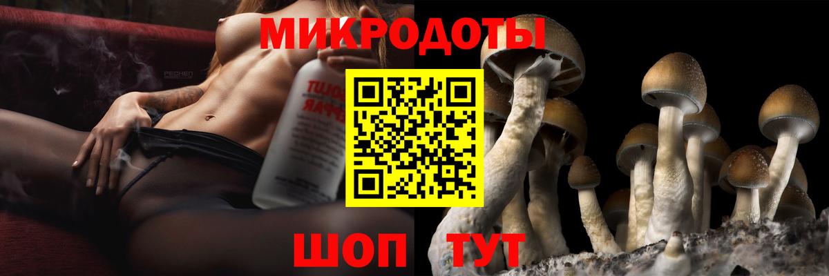 Псилоцибиновые грибы GOLDEN TEACHER Ишимбай